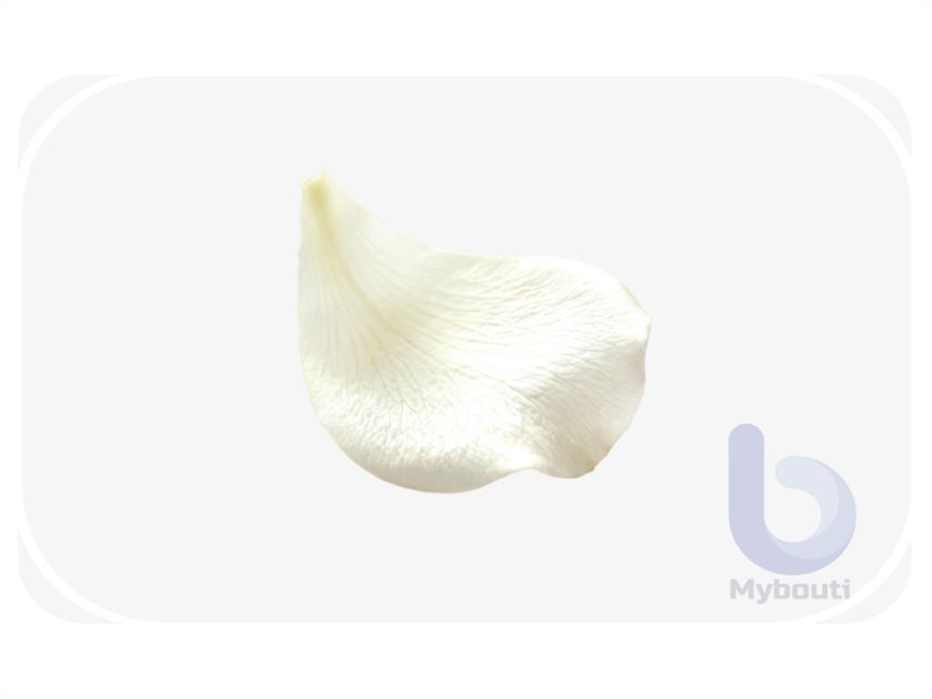 petal