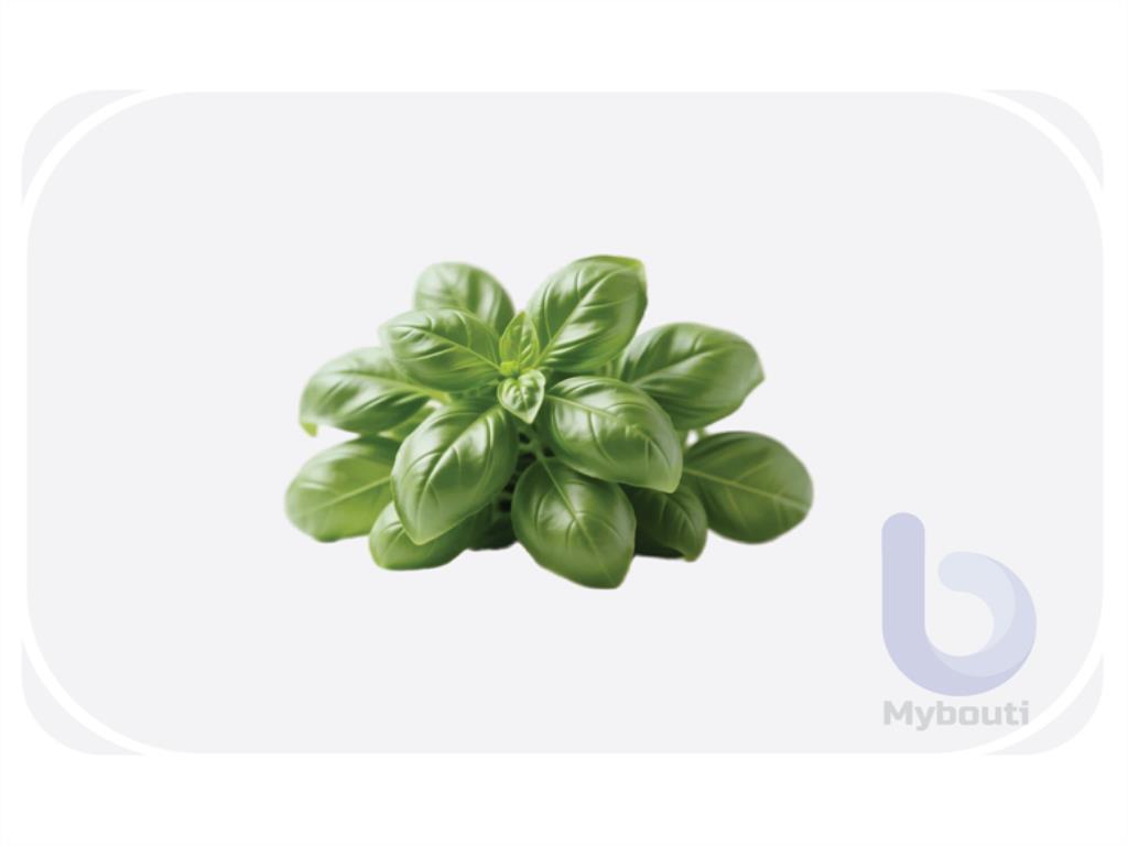 basil