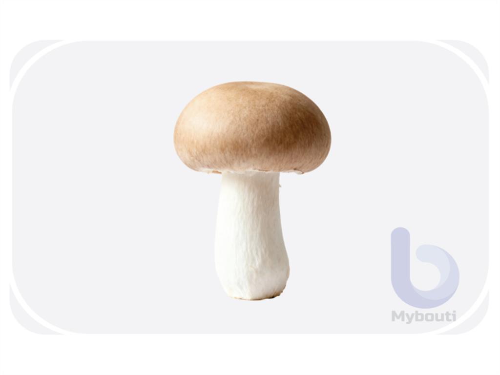 hongos