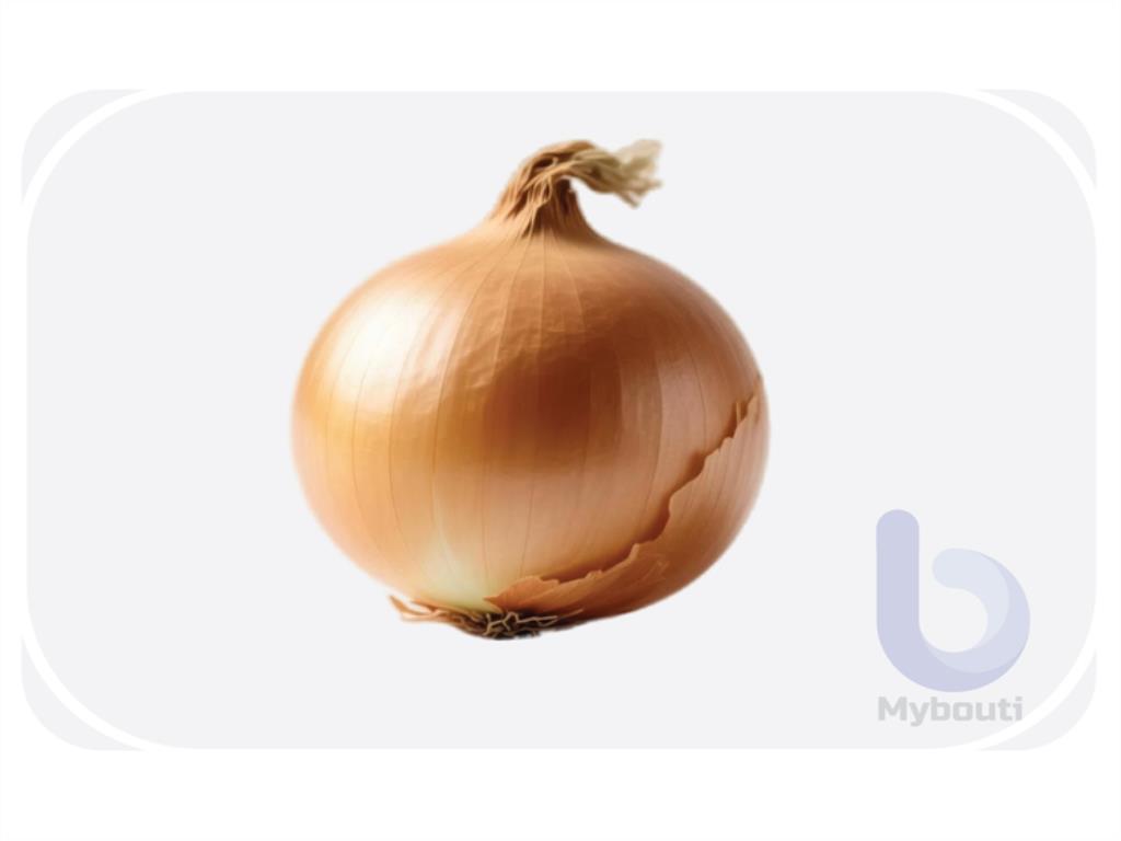 البصل